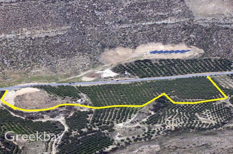 South-Facing-Overview