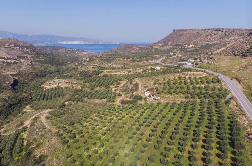 Whole – Valley-Aerial