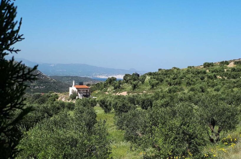 Whole-Valley-Cottage -1