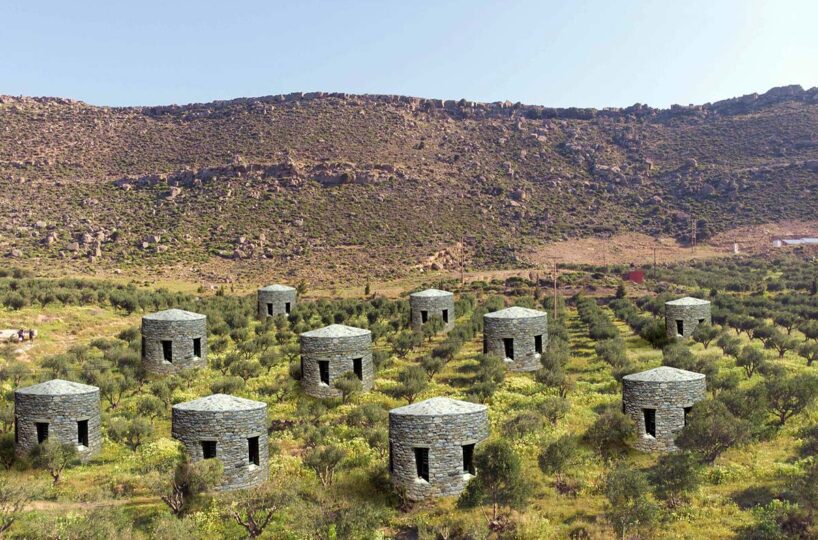 Whole – Valley -Mitato