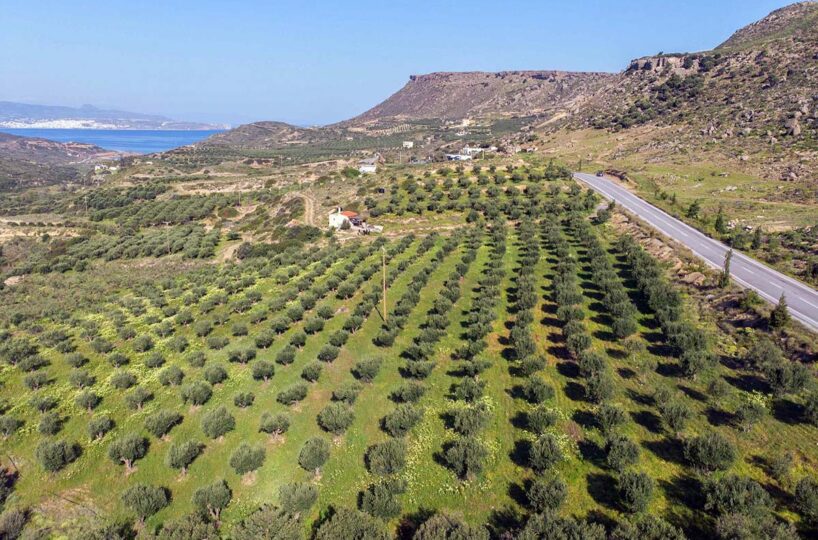 Whole-Valley-Overview