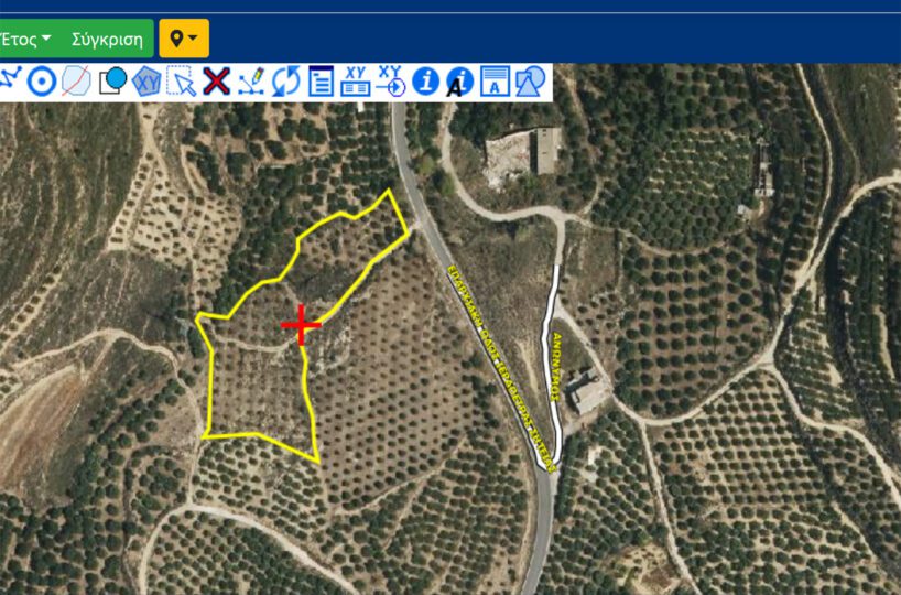 Olive-Farm-Agios-Georgios