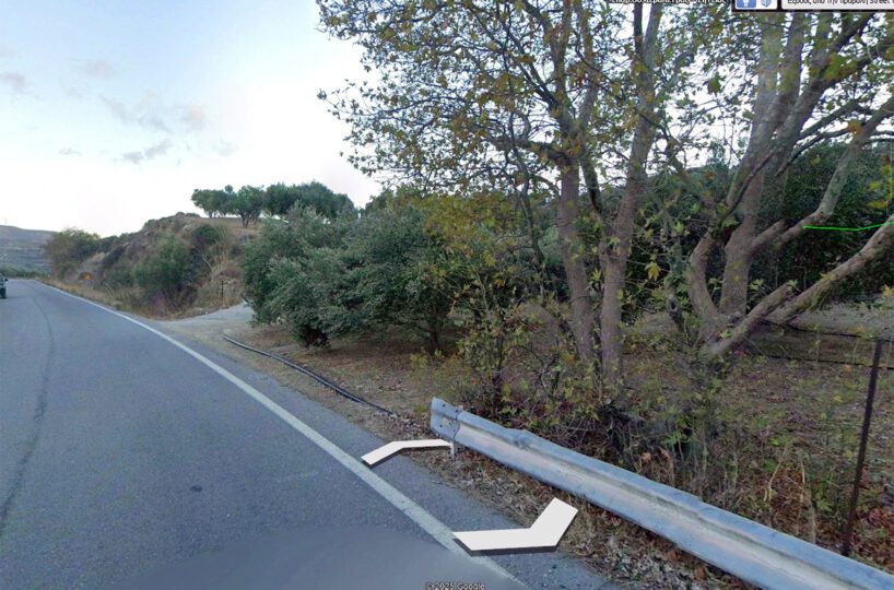 Olive-Farm-Agios-Georgios-Road