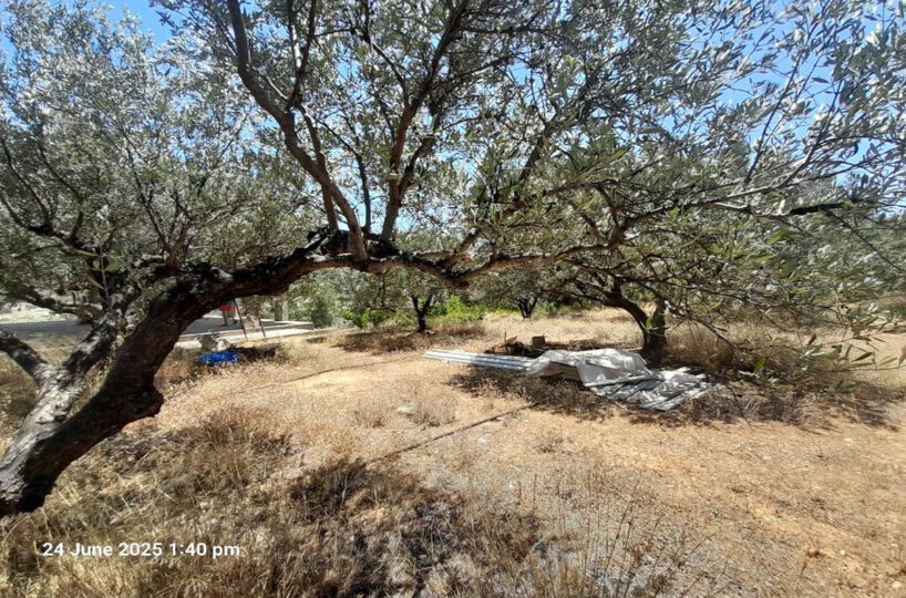 First-Floor-Country-Side
