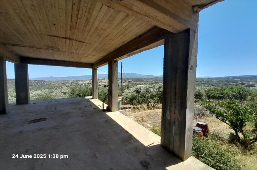 First-Floor-Country-Side-Beton