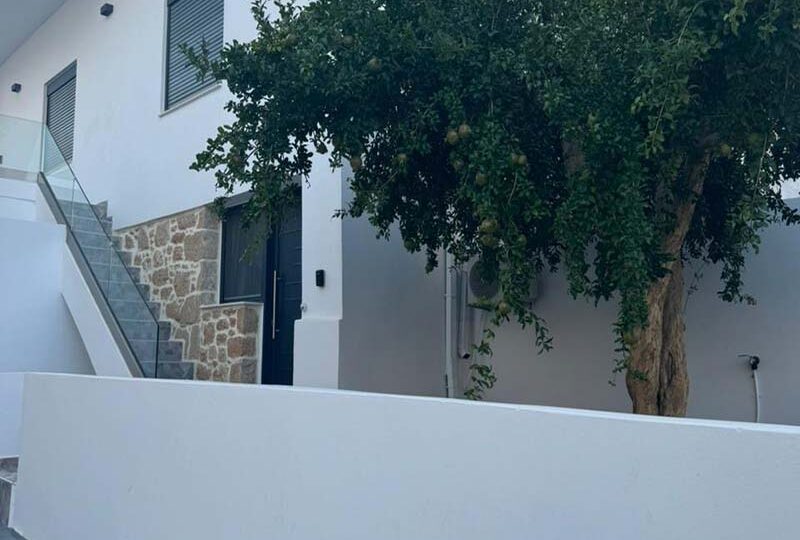 Detached-House-Garden