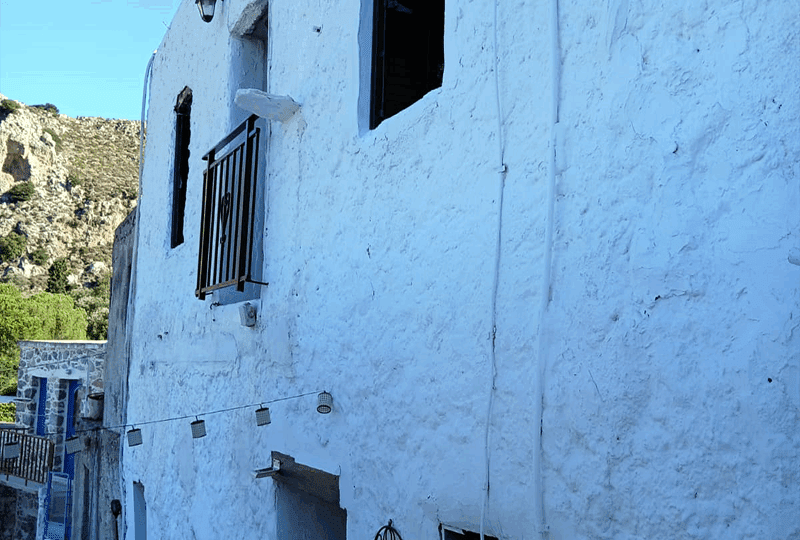 Stylish-Wonderful-Overview