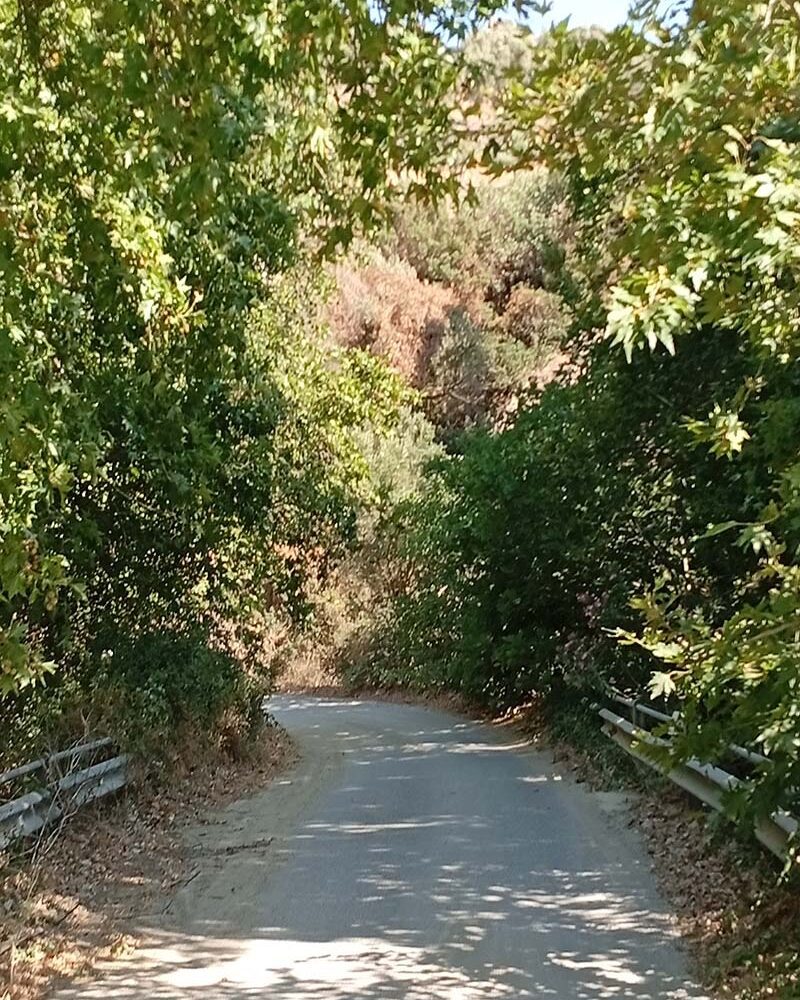 Kimourgiotis-Cottage-River