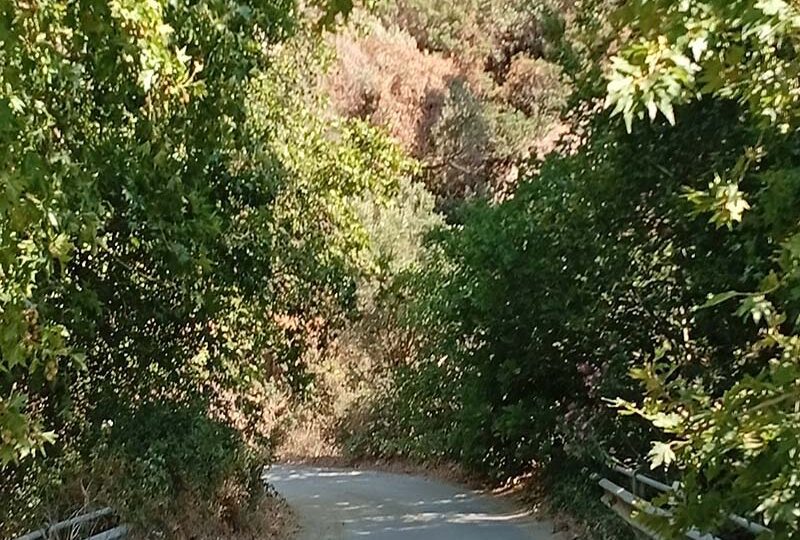 Kimourgiotis-Cottage-River