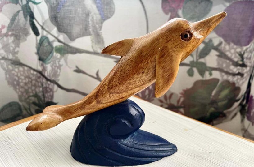 Delfini-Studio-Dolphin