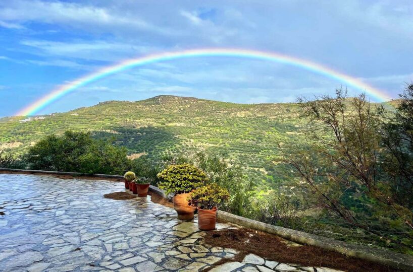 Delfini-Studio-Rainbow