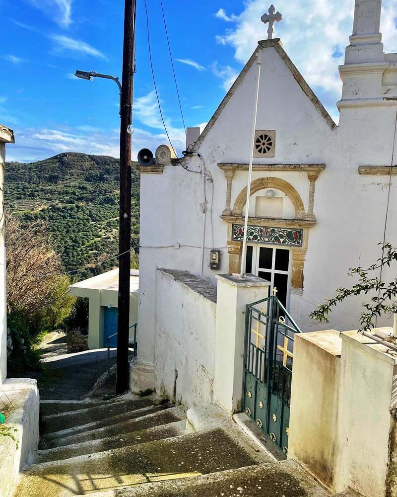 Delfini-Studio-Street