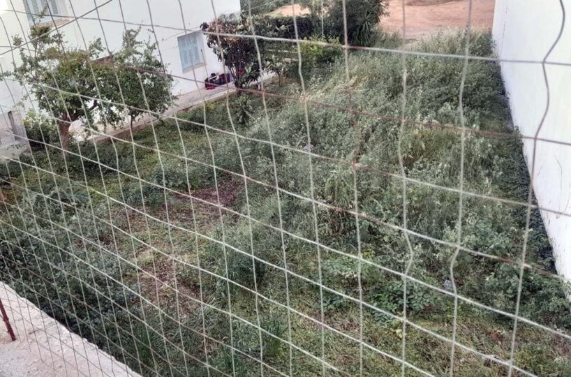 Oikopedo-Therissou-1