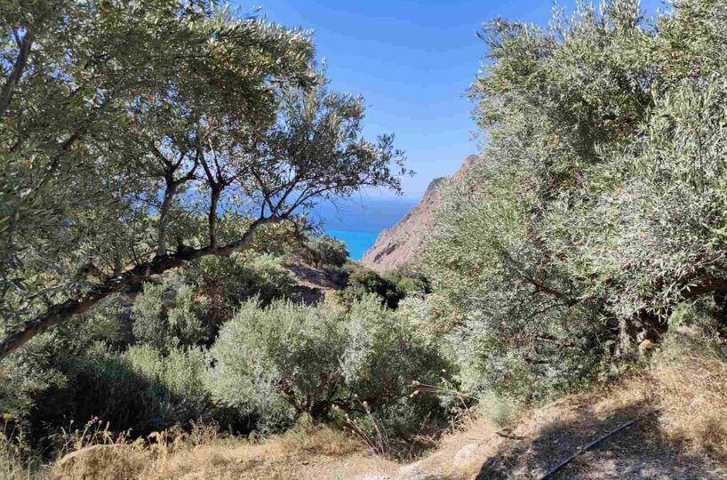 Mirsini-Mohlos-Plot-Sea-View